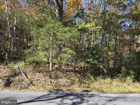 Land, LURAY, VA