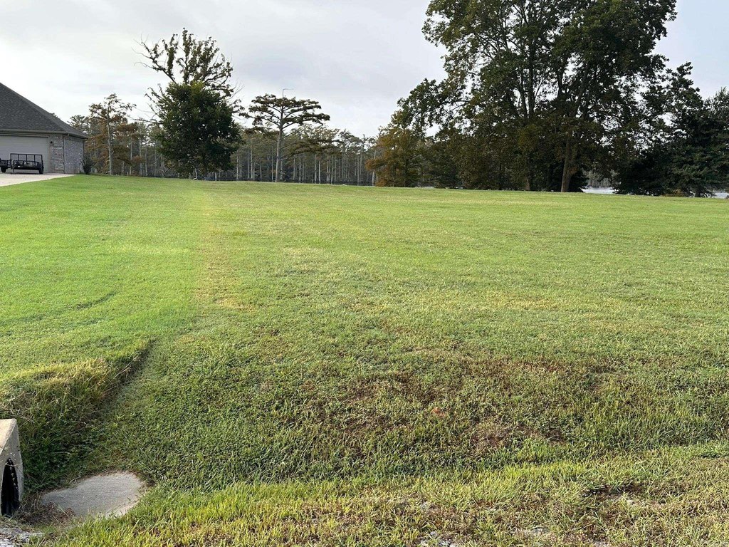Picture 4