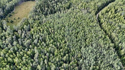 LAND, Delta Junction, AK