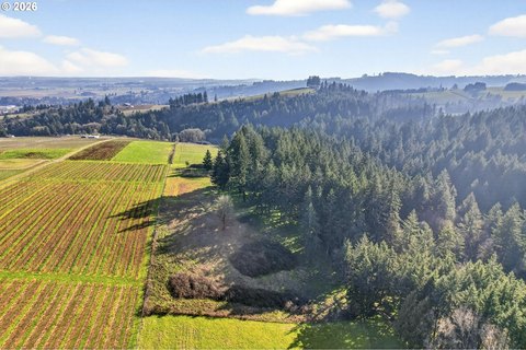 Land, Dundee, OR