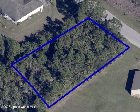 Residential Lot in Palm Bay