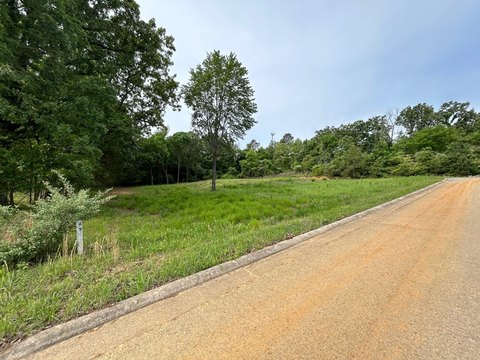 LAND - Pocahontas, AR