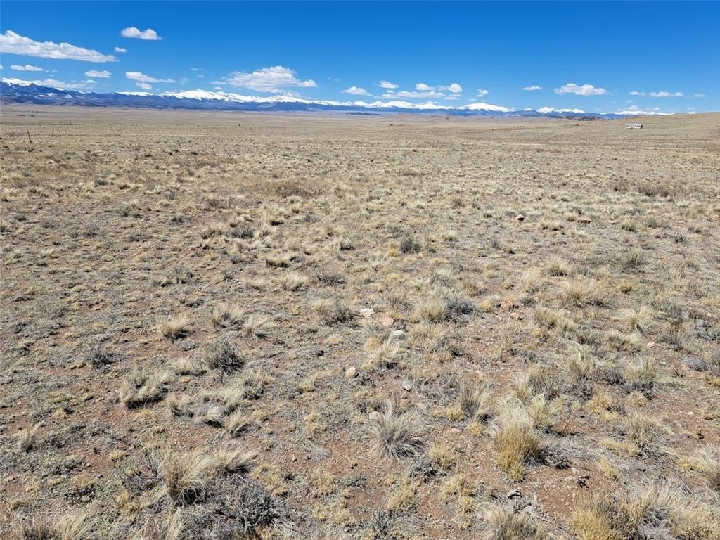 Picture 13