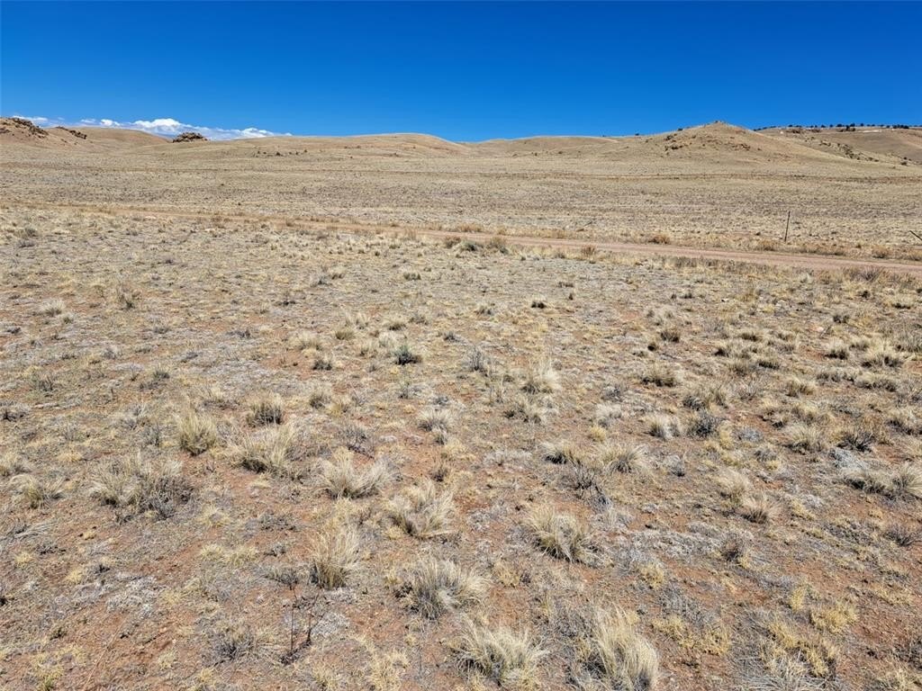 Picture 20