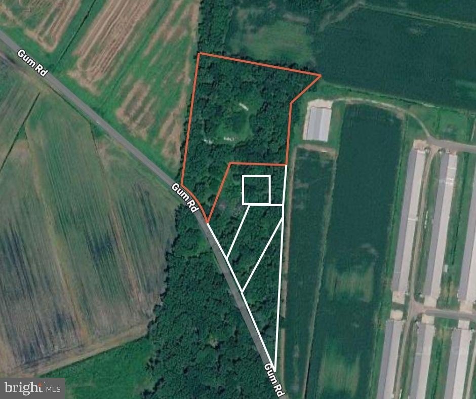 Acreage in Frankford, Delaware