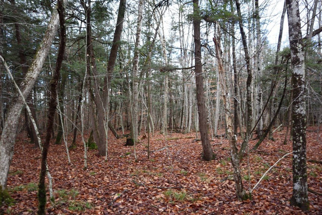 Picture 23