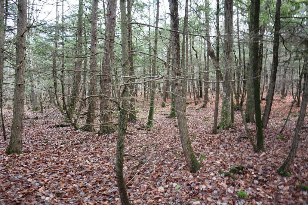 Picture 15