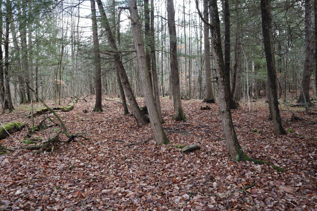 Picture 9