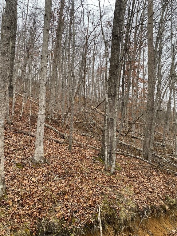 Picture 3