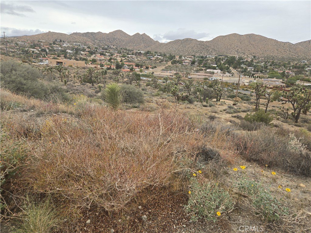 Picture 5