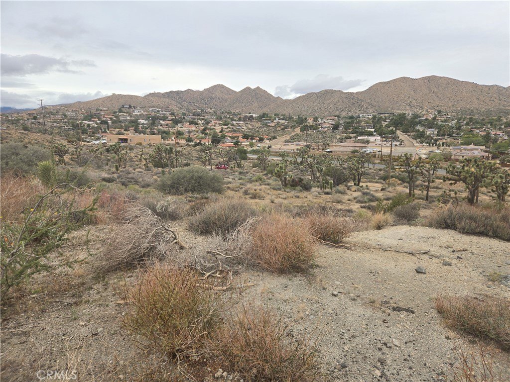 Picture 3