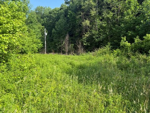 Vacant Land - Liberty, KY