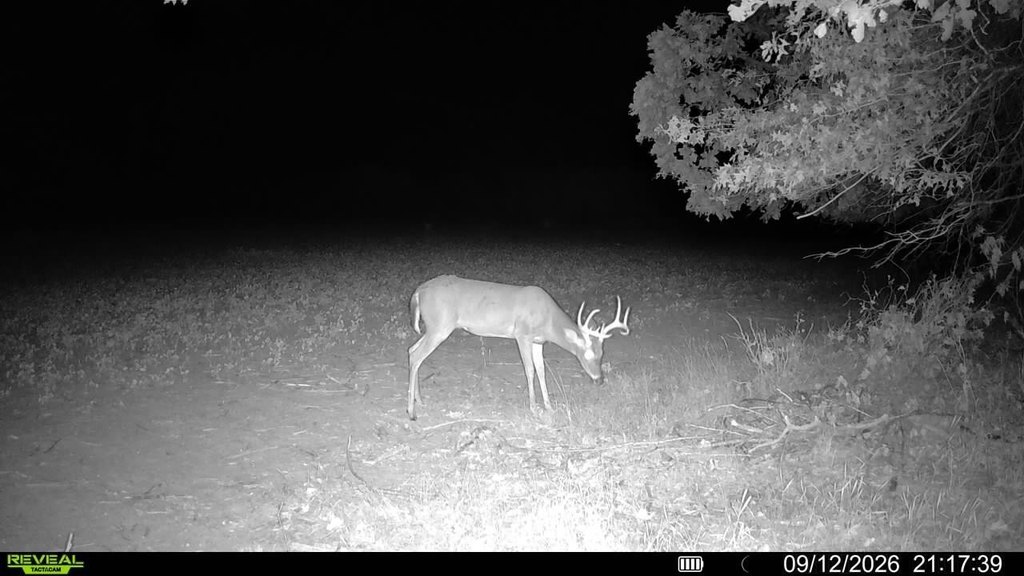 Picture 17