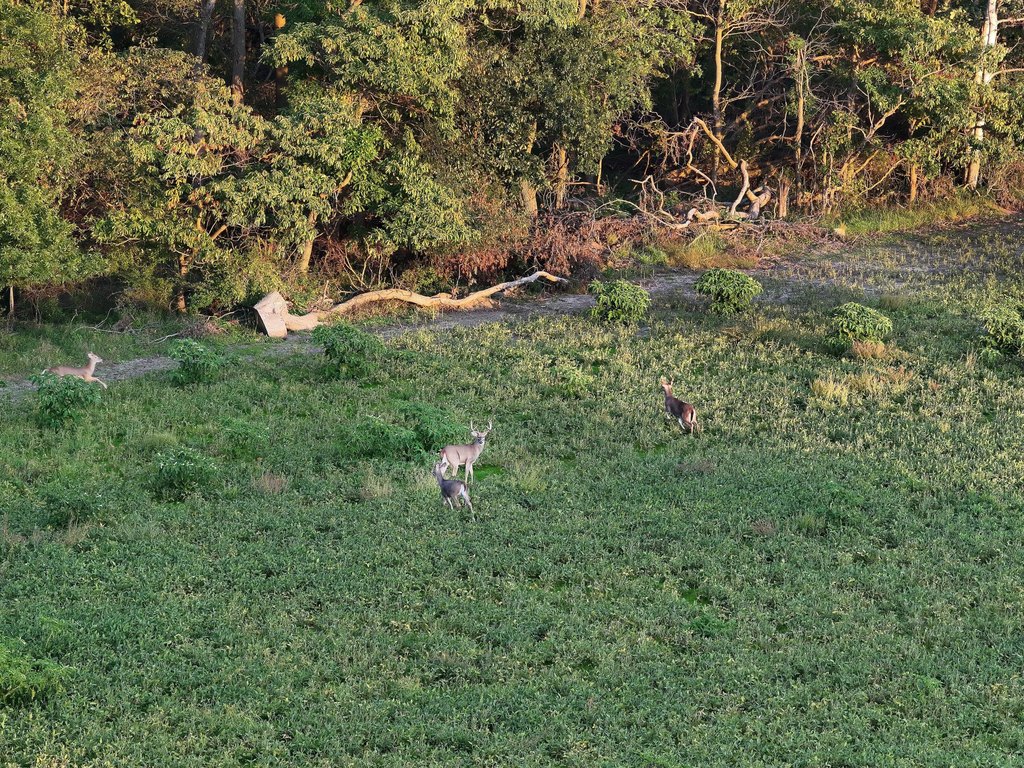 Picture 29