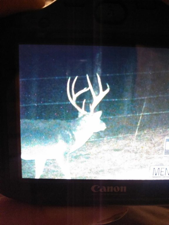 Picture 12