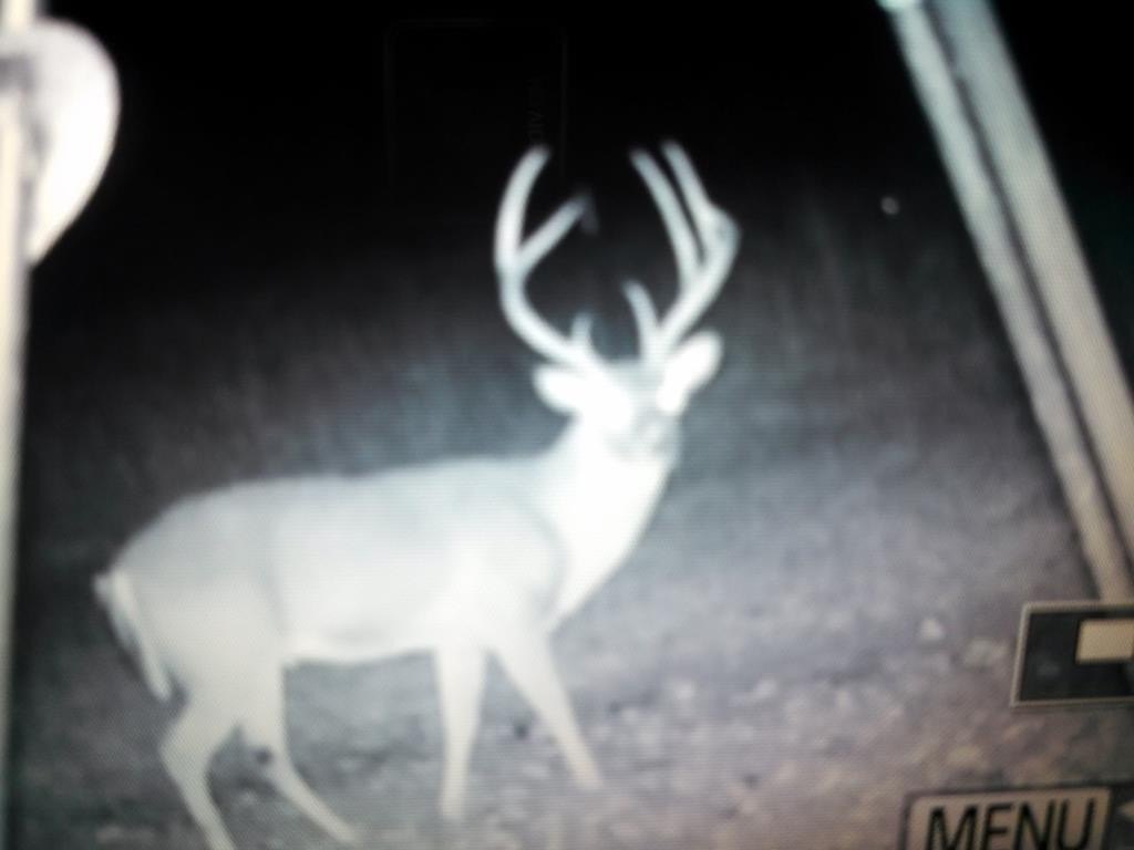 Picture 13