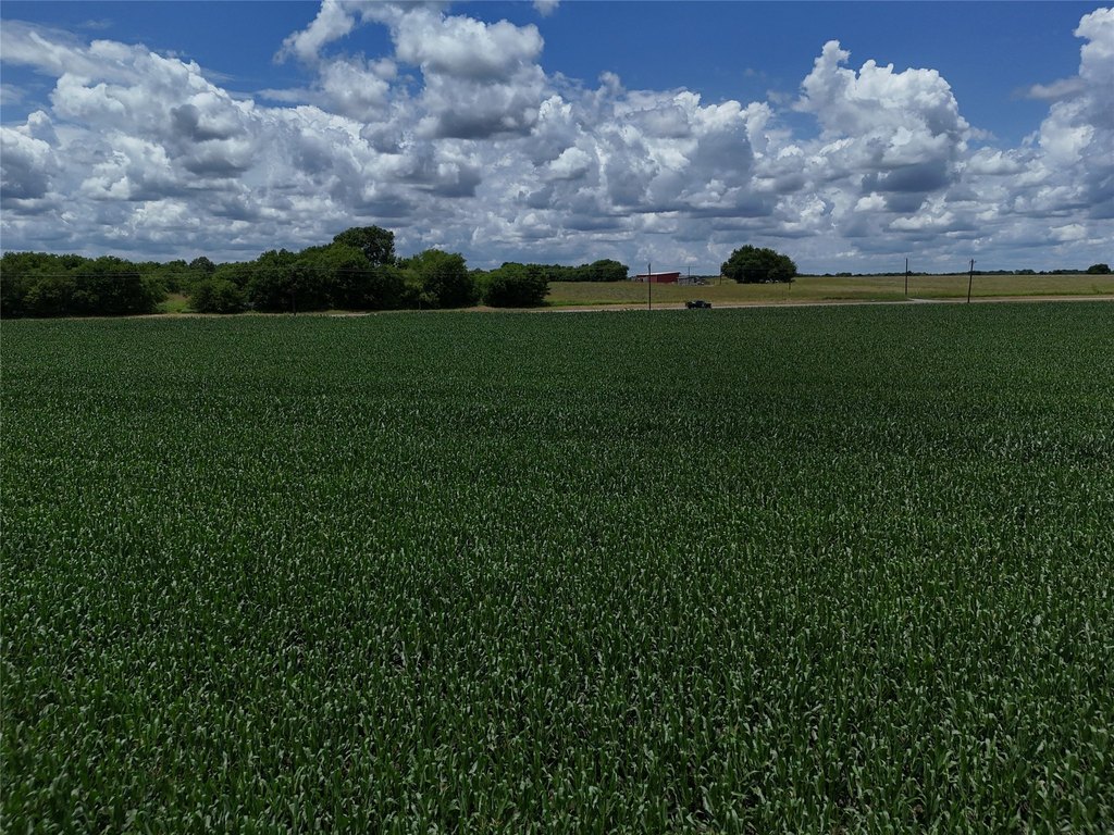 Picture 16
