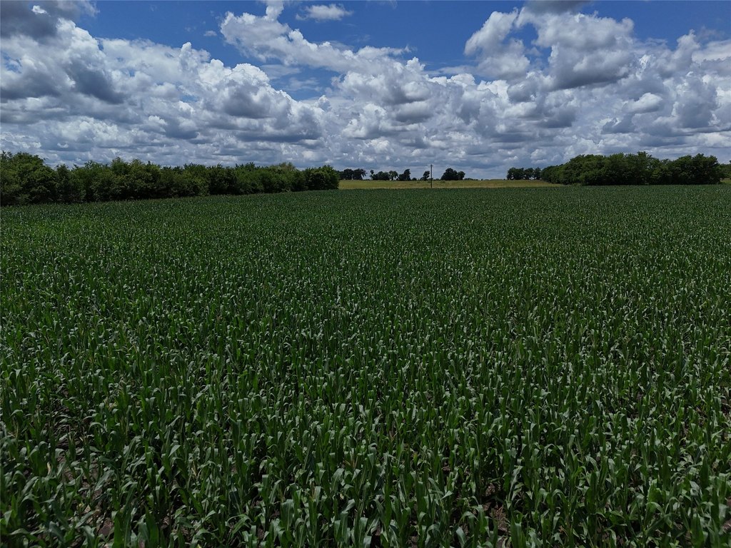 Picture 11