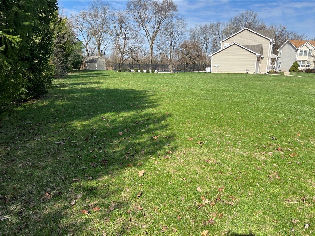 Picture 13