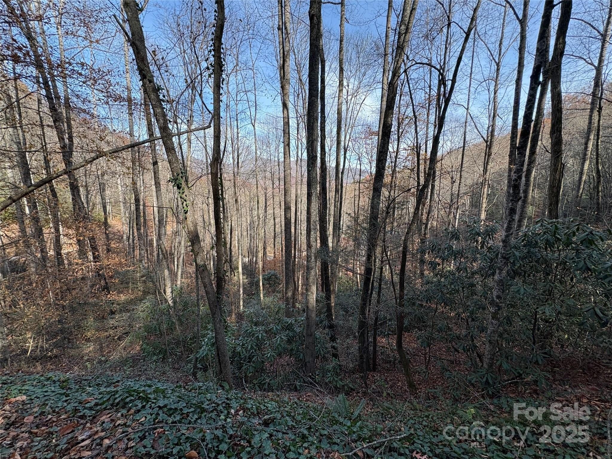Whittier, NC Land with Views