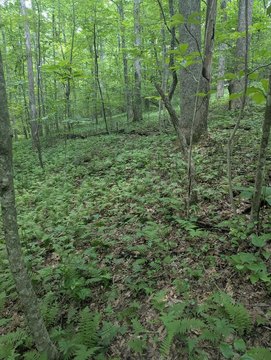 Residential Land in Cumberland Cove