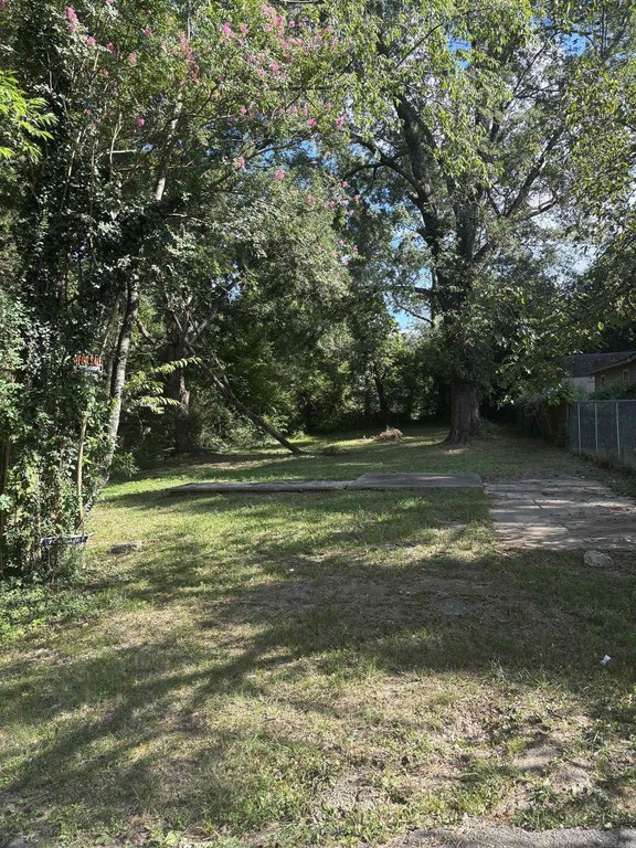 Picture 5