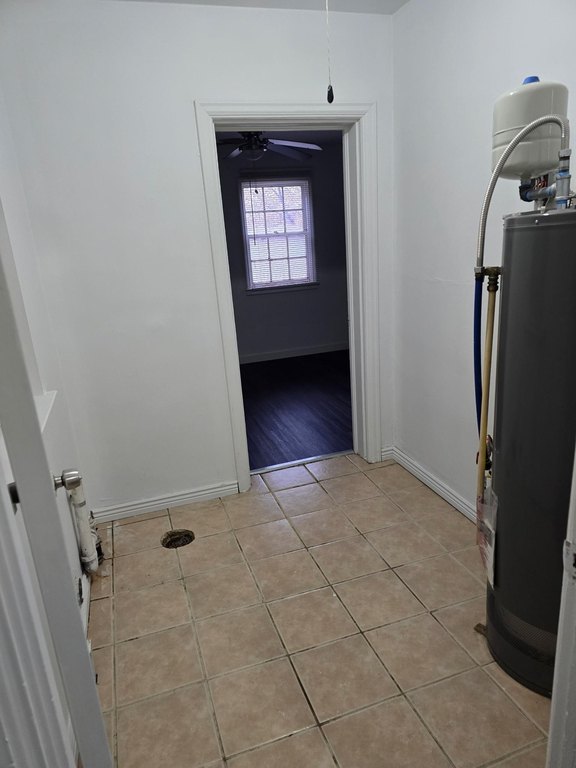 Picture 29