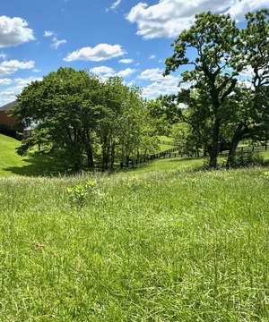 Residential Land in Victoria Estates