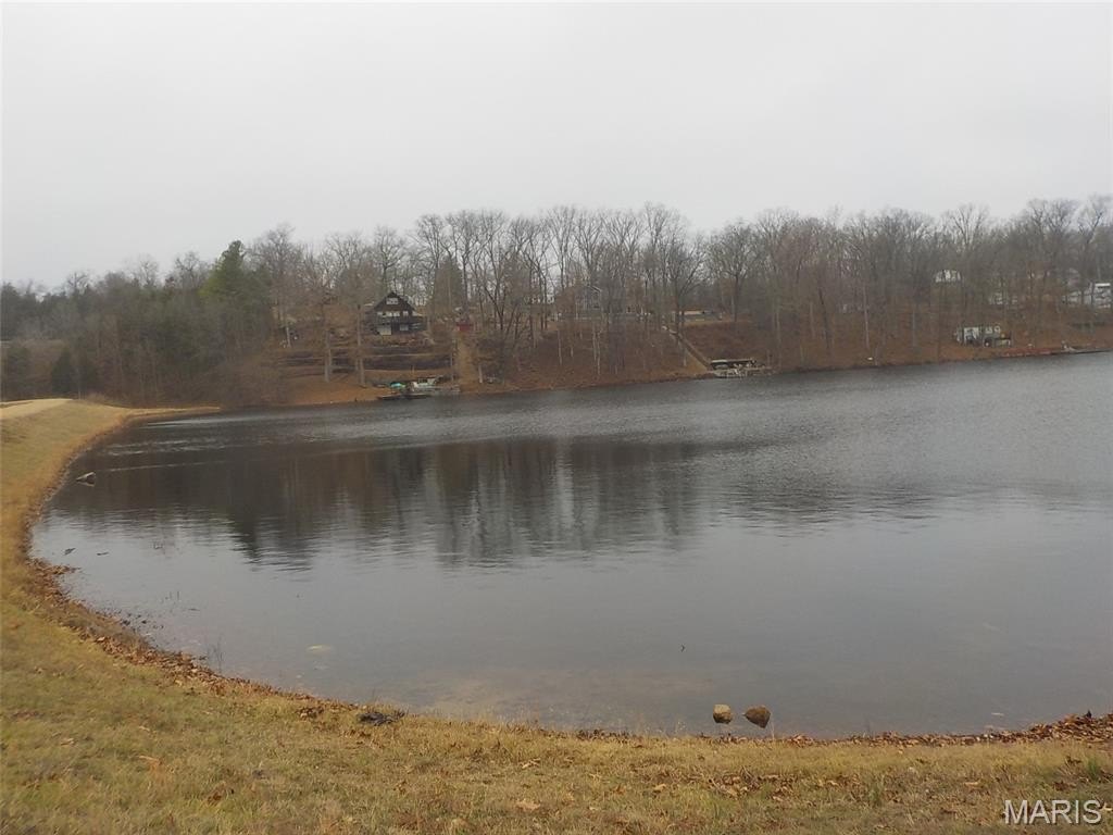 Picture 8