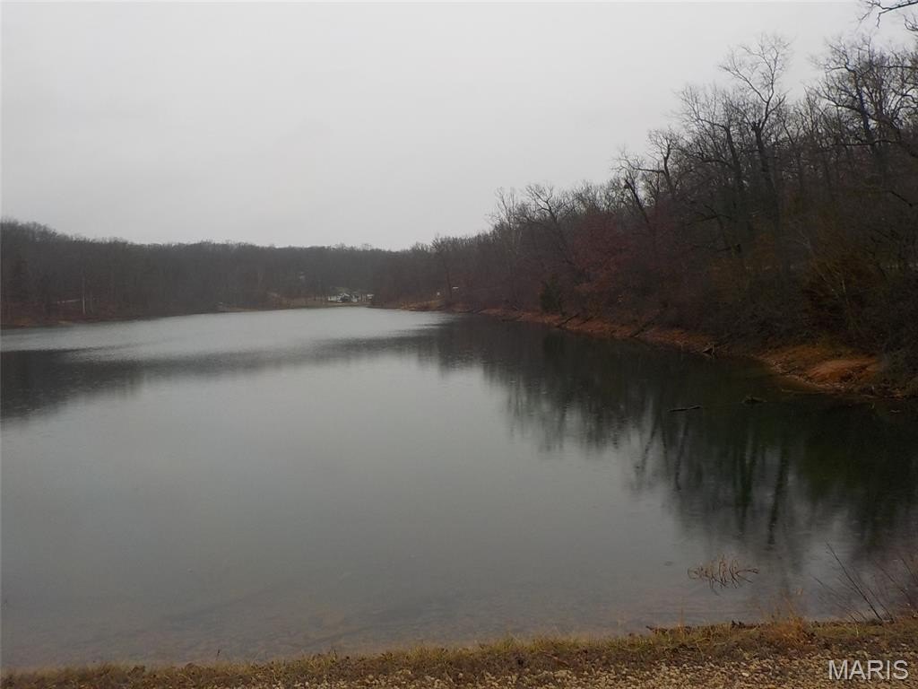 Picture 6