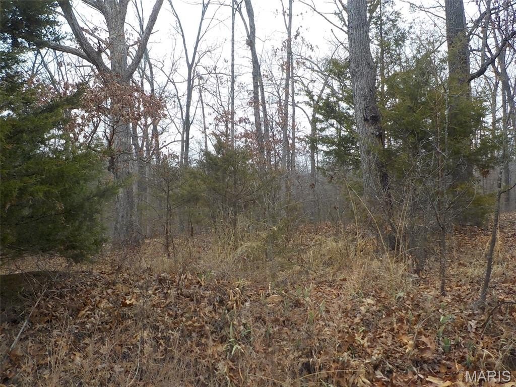 Picture 10
