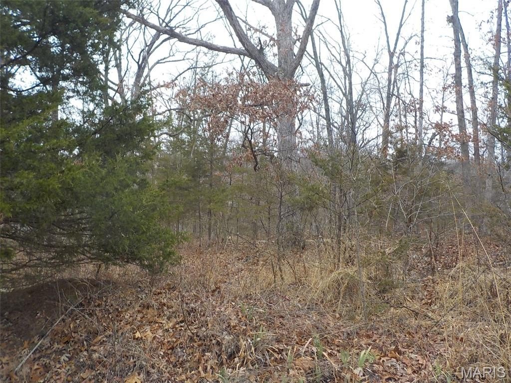 Picture 12