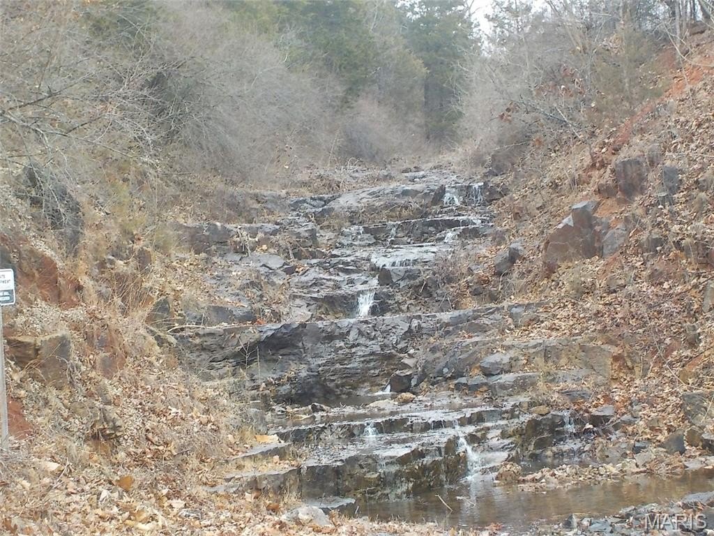 Picture 7