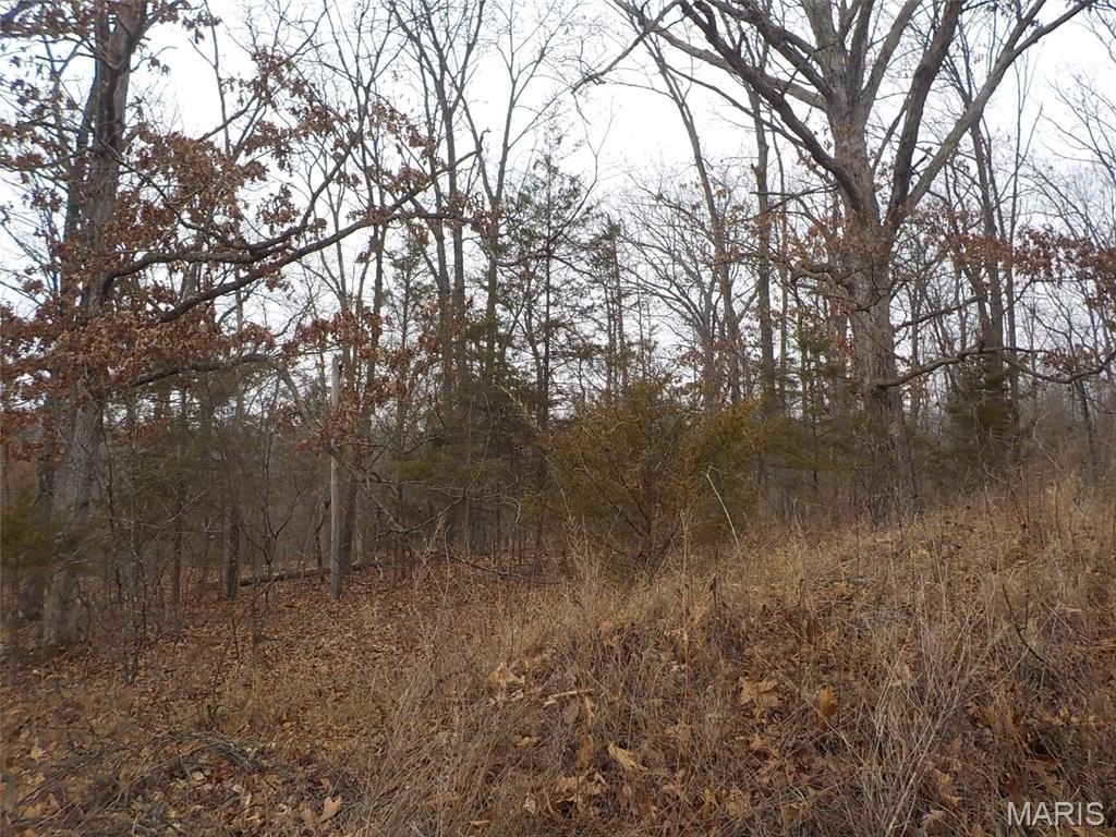 Picture 13
