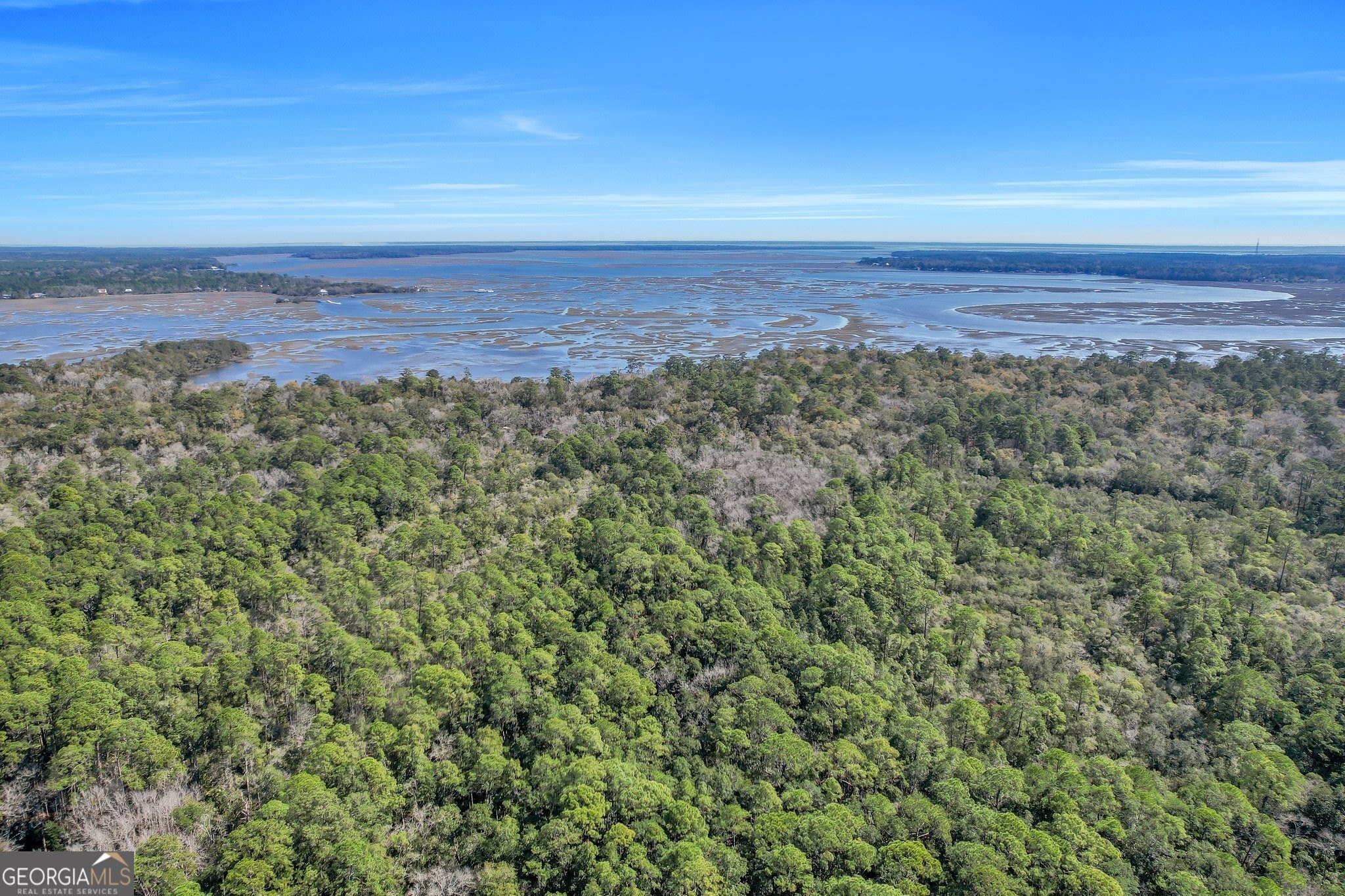 Secluded Coastal Georgia Land Parcel