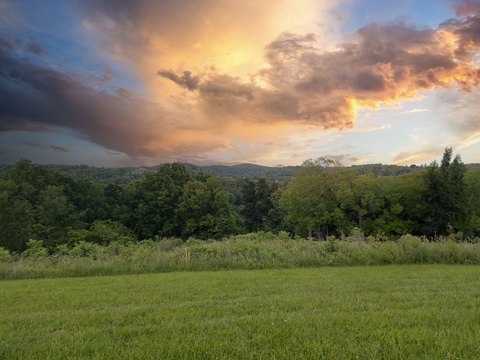 Shelbyville Land for Residential Development