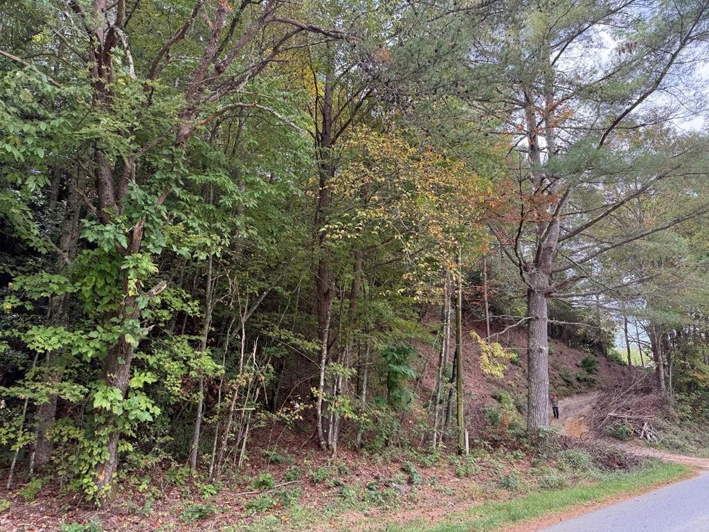 Unrestricted Land in Tuckasegee, NC