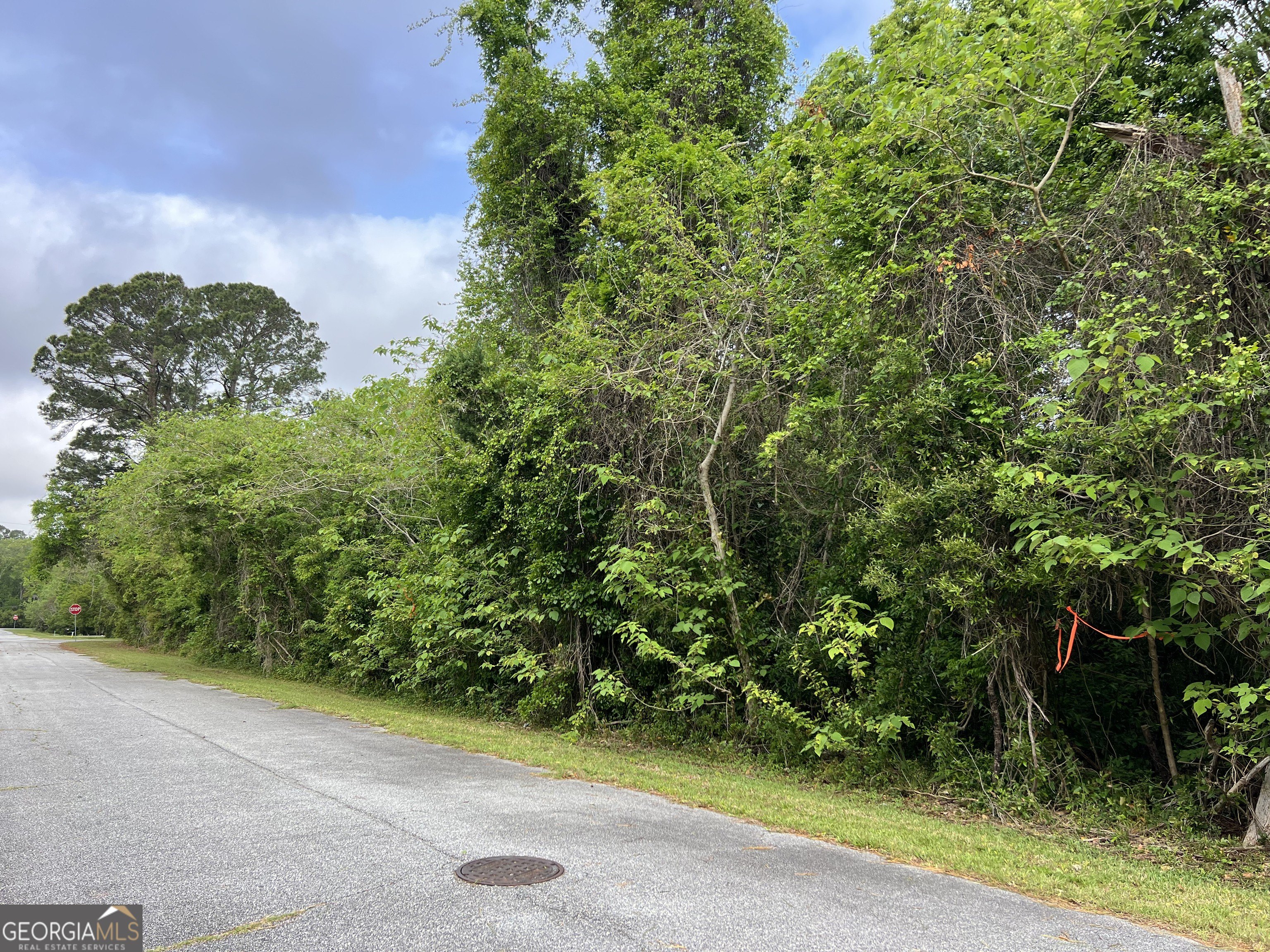 Residential Lot in St. Marys