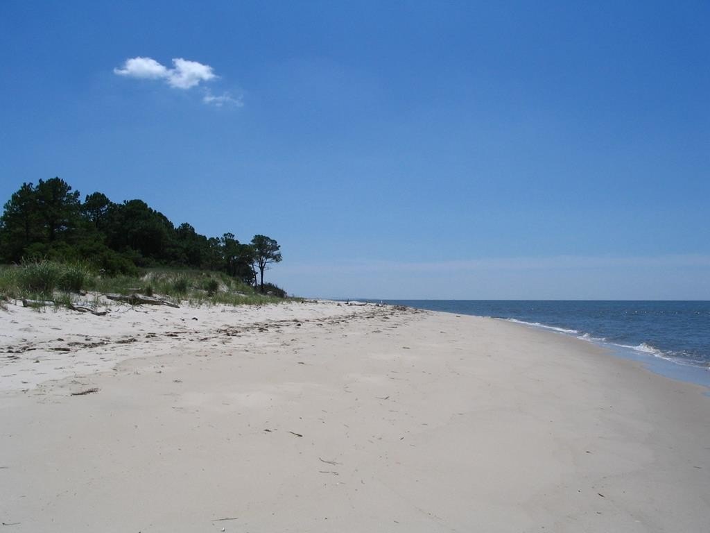 Picture 40