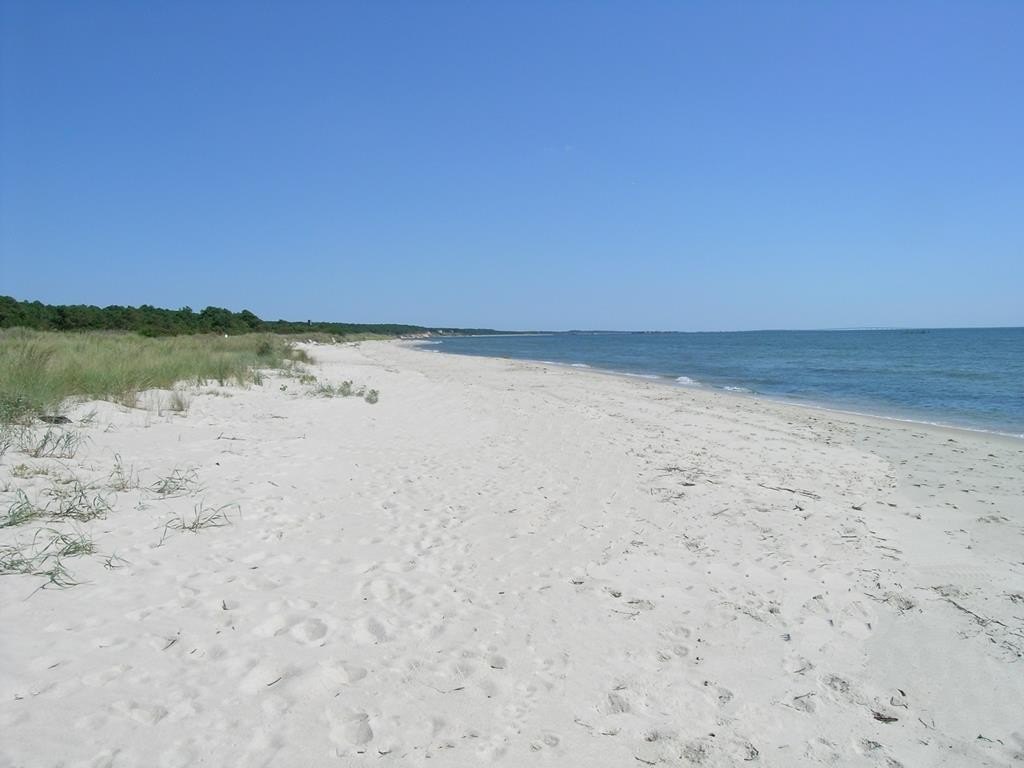 Picture 7