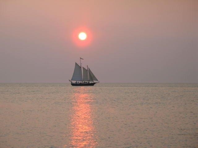 Picture 32