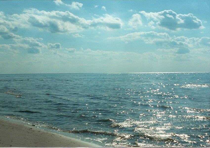Picture 8
