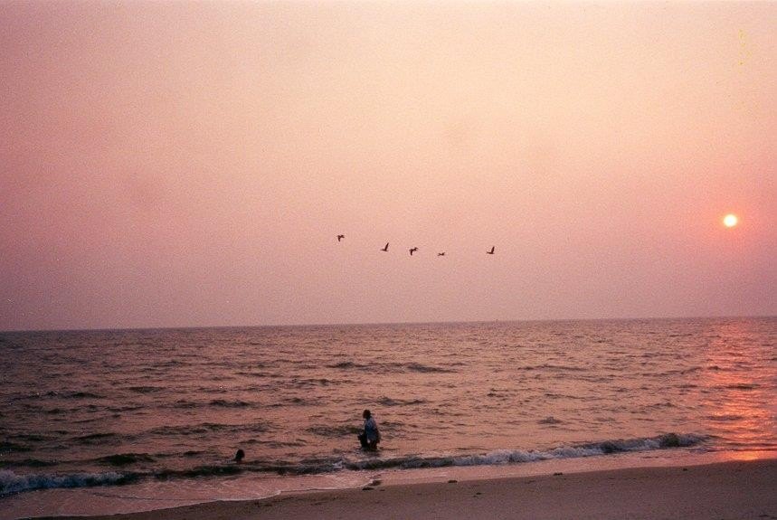 Picture 27
