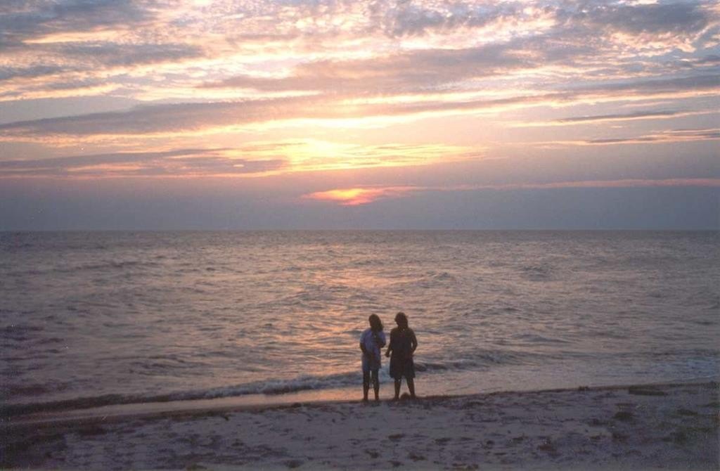 Picture 45