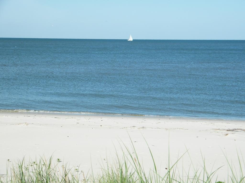 Picture 25