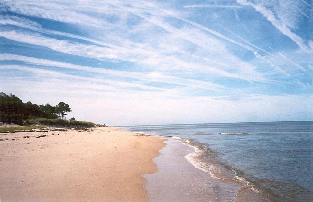 Picture 28