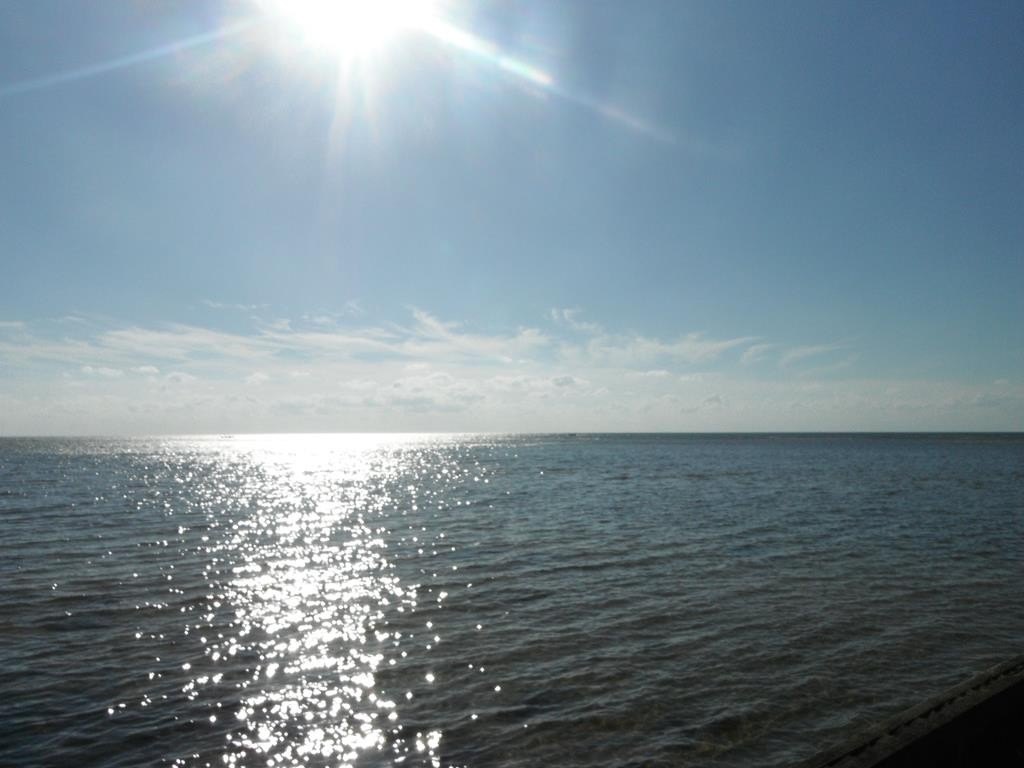 Picture 48
