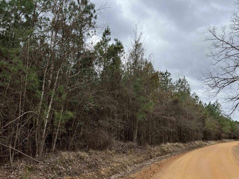25 Acres Near Sparkman, AR