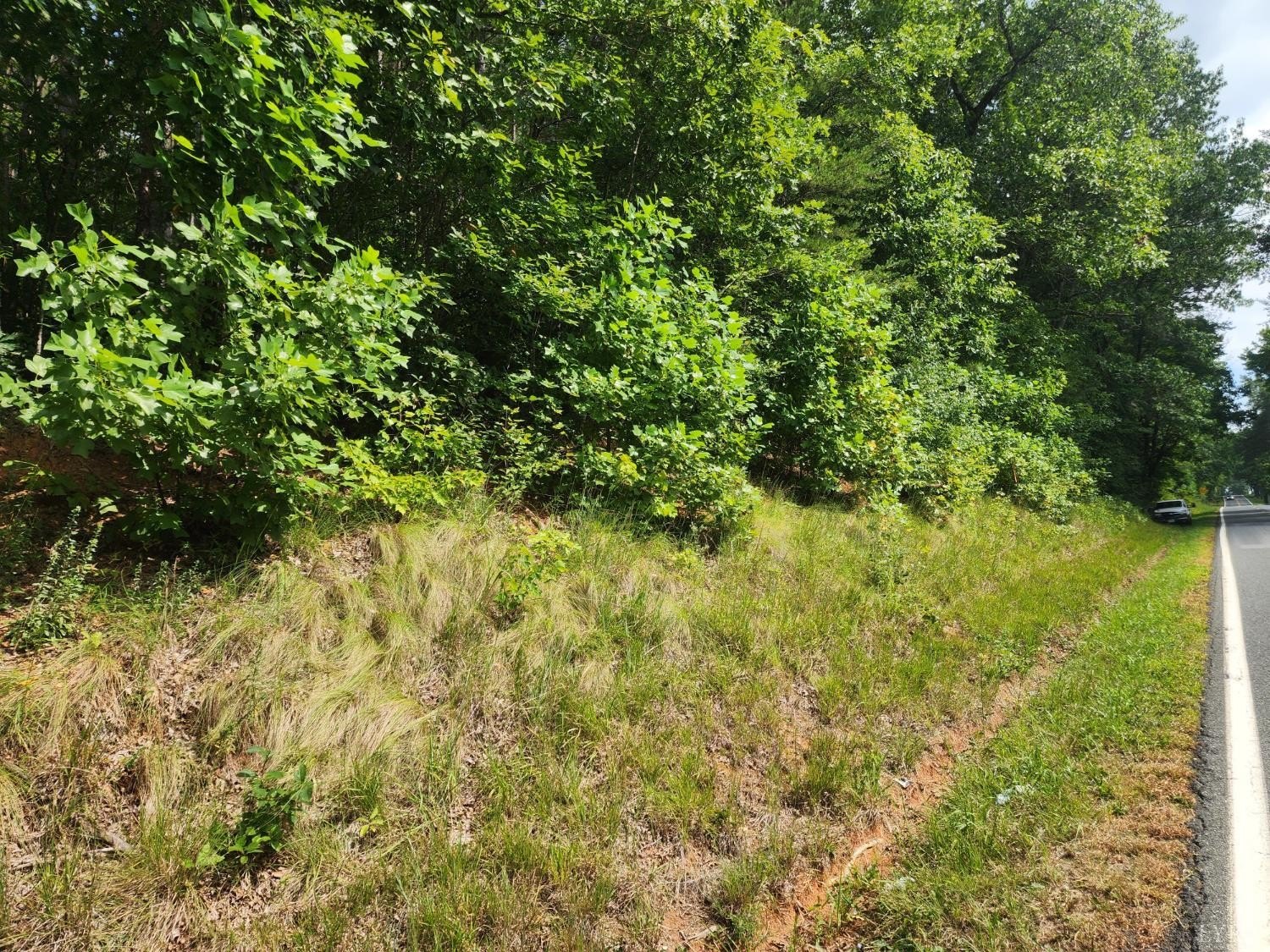 Wooded Lot Near Appomattox