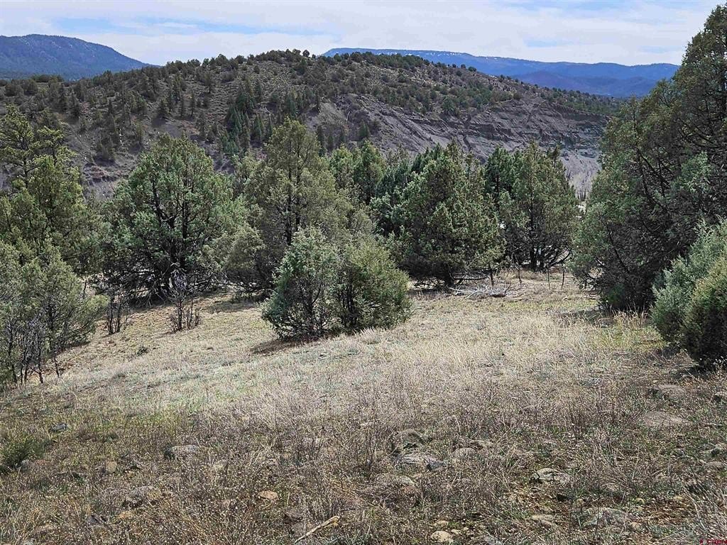 Picture 19